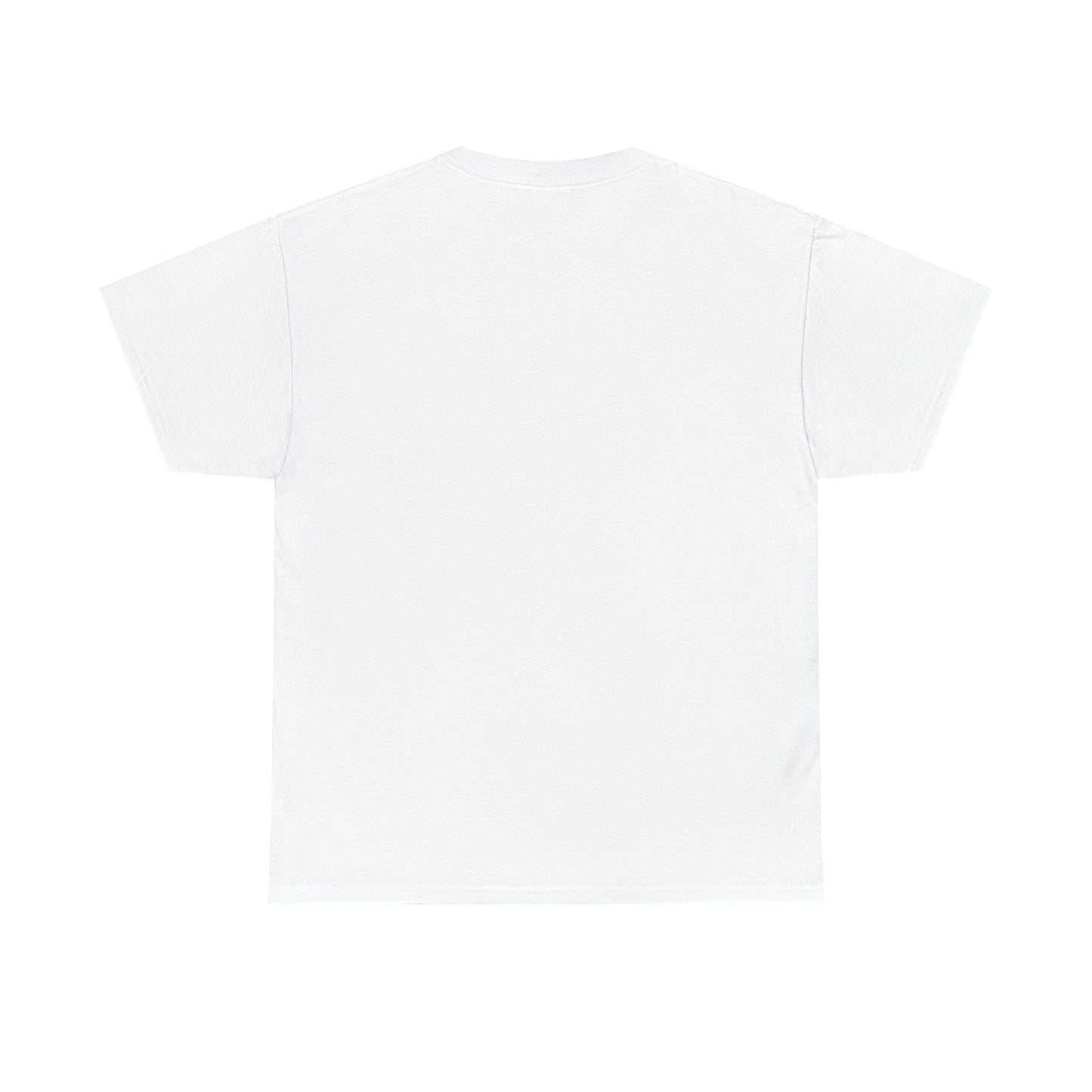 American Airlines A321 Picture T-Shirt