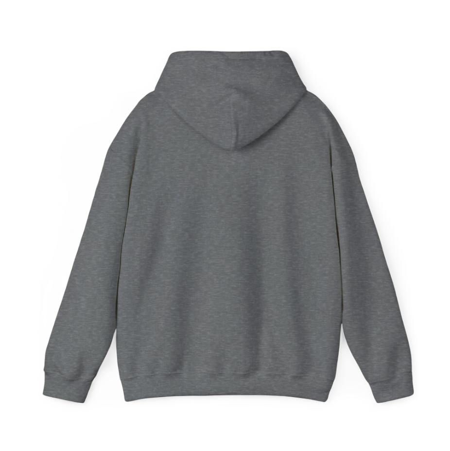 AV8R Hoodie - Taxiway design