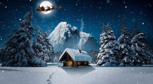 The Ultimate Selection of Aviation-Themed Gifts! ☃️