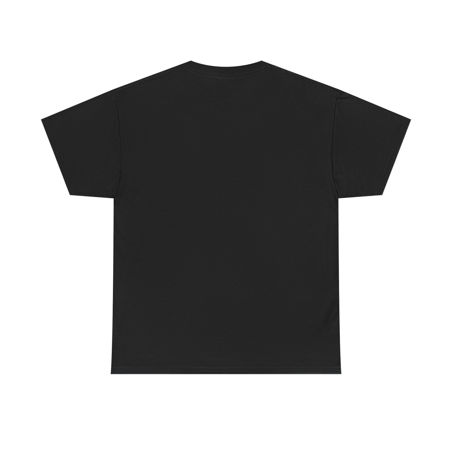 American Airlines A321 Picture T-Shirt