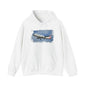 American Airlines A321 Picture Hoodie