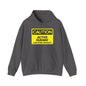 Caution: Active Runway - Low Flying Aircraft Hoodie