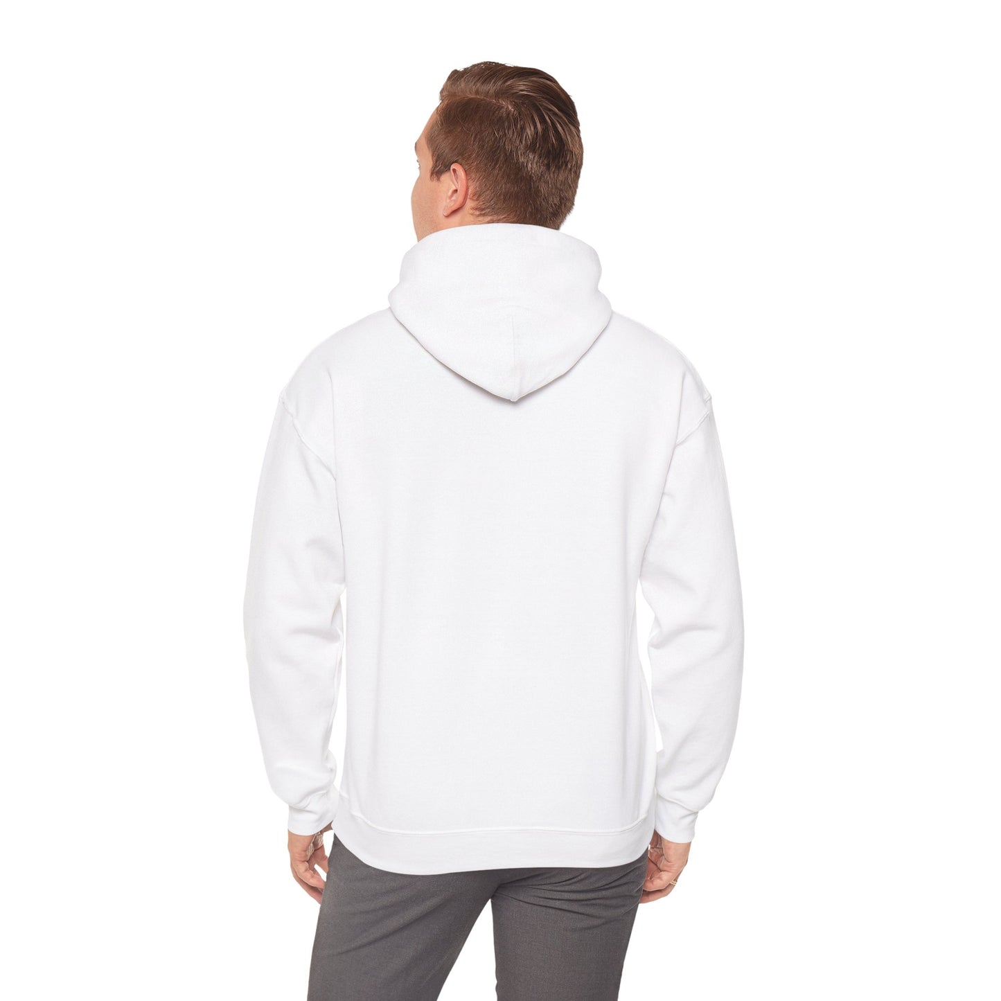 American Airlines A321 Picture Hoodie